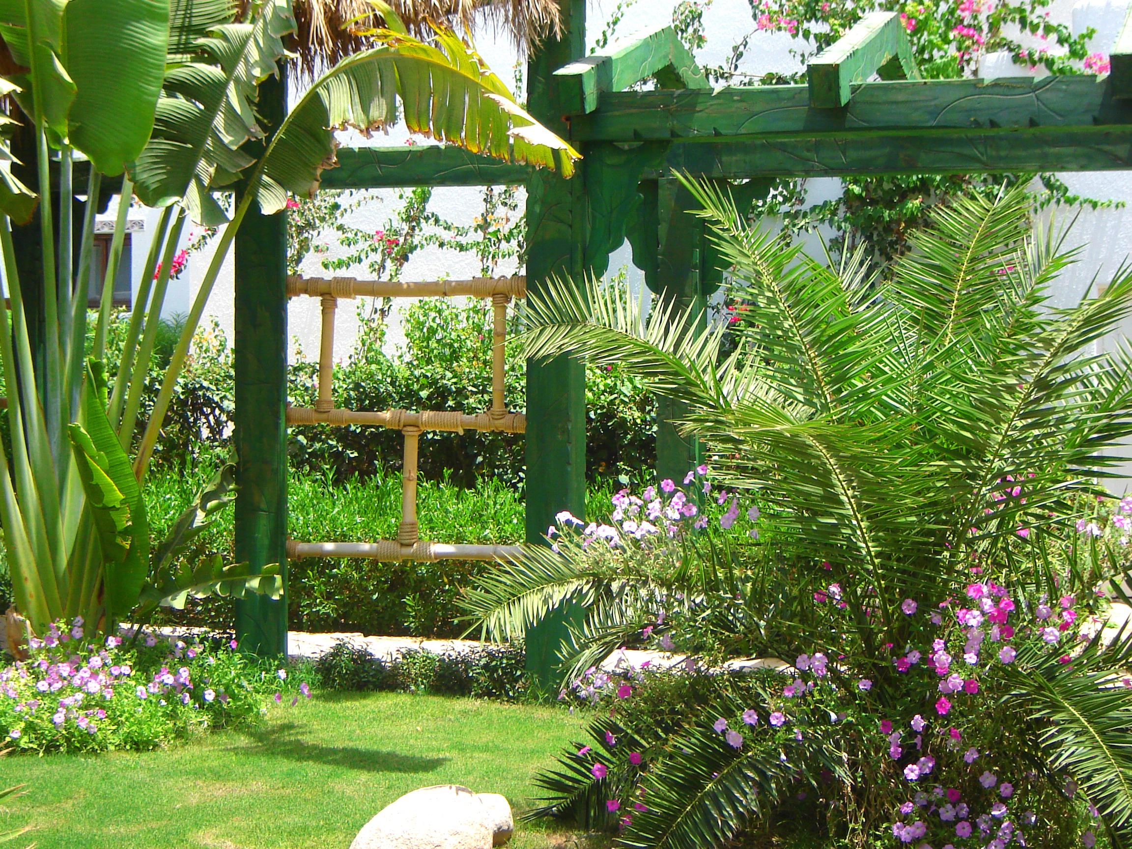 Delta Sharm Resort ,Official Web, Delta Rent, Sharm El Sheikh, South Sinai, Egypt Luaran gambar